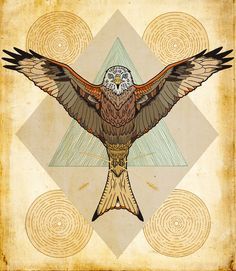 red kite Red Kite Bird, Folklore Illustration, Kite Tattoo, Kite Bird, Folk Illustration, Evil Tattoos, Red Kite, Eagle Tattoo, Illustration Ideas