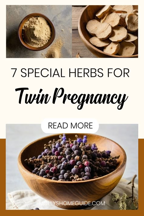 Discover the power of natural alternatives to Clomid with our collection of potent herbs and fertility blends. Explore herbal remedies like seed cycling and fertility tea recipes to boost ovulation naturally. Learn about the benefits of folate for fertility and incorporating Wicca health and fertility rituals into your conception journey. Whether you're looking to conceive twins or seeking holistic solutions for getting pregnant with PCOS, these fertility herbs offer gentle yet effective support Increasing Fertility Naturally, How To Get Twins Naturally, Fertility Tea Trying To Conceive, Fertility Herbs Witchcraft, Letrozole Fertility Success, Fertility Blend, Conceive Twins, Fertility Herbs, Herbs For Fertility