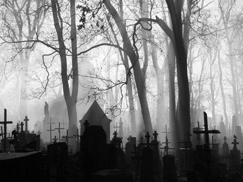 114aa2feed64ce7e9ebcdb566efe65a3 Old Cemetery, Arte Grunge, Old Cemeteries, Cemetery Art, Last Ride, Fall Inspiration, Gothic Aesthetic, Six Feet Under, Dark Photography