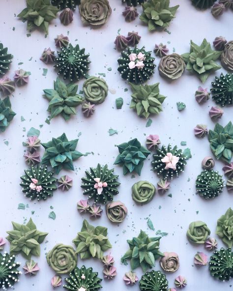 Homemade Royal Icing Cacti & Succulents 🌵   Instagram: idyllicsweets Photo Origin: www.pinterest.com/jasminesoomin Royal Icing Succulents Tutorial, Succulent Birthday Cookies, Royal Icing Succulents, Botanical Cookies, Icing Succulents, Diy Royal Icing, Homemade Royal Icing, Cactus Cookies, Royal Icing Flowers