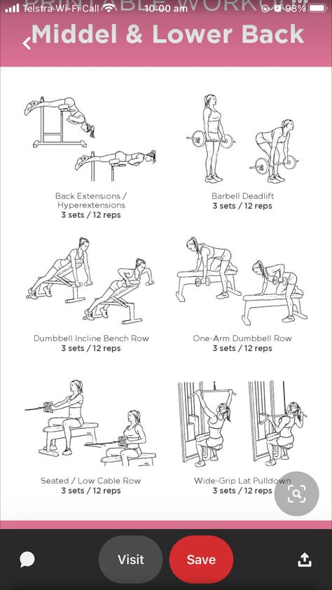 Dumbbell Rows On Bench, Lat Dumbell Exercises, Incline Rows, One Arm Dumbbell Row, Barbell Deadlift, Workout Gym Routine, Bench Workout, Cable Row, Dumbell Workout