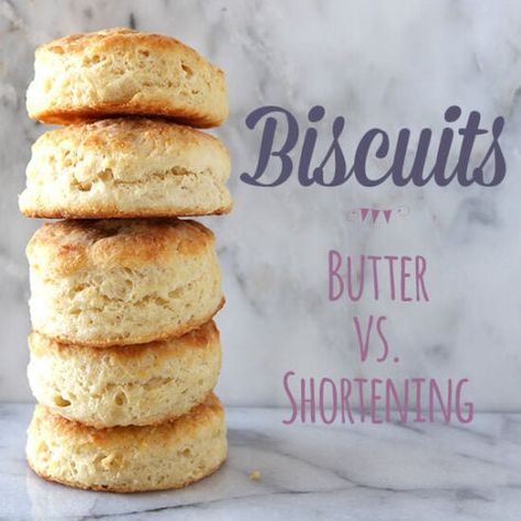 How to Make Biscuits: Butter vs. Shortening Shortening Biscuits, Biscuit Recipe Shortening, Savory Sandwiches, Biscuits Butter, Baking Powder Biscuits, Flour Biscuits, Make Biscuits, Buttermilk Biscuit, Handle The Heat