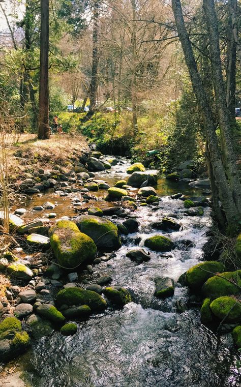 #creek##nature Forest Creek Aesthetic, Creek Aesthetic Nature, Anne Boonchuy Aesthetic, Aestethic Nature, Creek Aesthetic, Creek Photos, Creek Nature, Nature River, Adventure Aesthetic