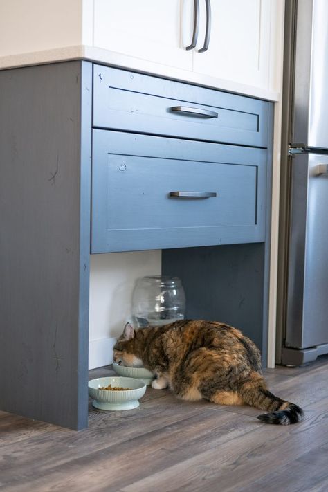 Entrance Renovation, Pet Food Station, Cat Food Station, Kitchen Dining Nook, Cat Feeding Station, Cat Furniture Design, Traditional Ideas, Pet Station, Pet Feeding Station