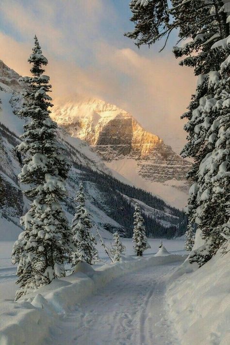 Snowy Mountains Aesthetic, Snowy Nature, Winter Mountain, Pretty Landscapes, Winter Love, Winter Wallpaper, Winter Scenery, Snowy Mountains, Winter Pictures