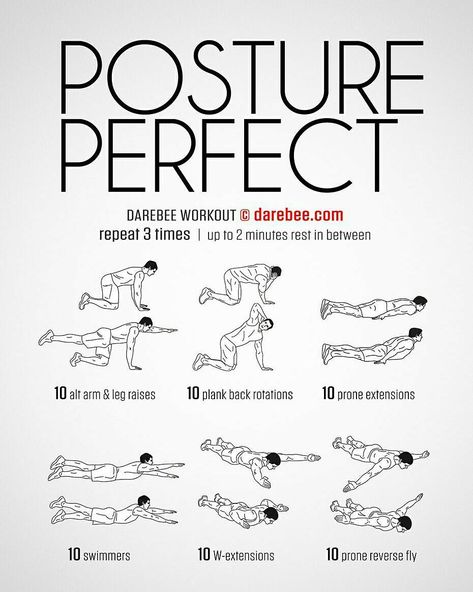 DAREBEE - Fitness Made Easy on Instagram: “Posture Perfect Workout #darebee #fitness #workout” Posture Workout, Perfect Posture, Perfect Workout, Leg Raises, Burn Fat Faster, Living A Healthy Life, Burpees, How To Run Faster, Beast Mode