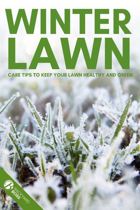 We spend so very little time in our yards during the winter, mostly because it’s covered in snow. But there are actually some good winter lawn care tips you should consider to ensure your grass and yard stays healthy for the next year. So if you’re like me and take pride in your property, read on to learn more about taking care of your lawn during the Winter. #winterlawncaretips #lawnwintercare #gardenwinterprep Garden Winter Prep, Winter Lawn Care, Fall Lawn Care, Fall Lawn, Lawn Care Business, Lawn Care Tips, Hanging Plants Indoor, Healthy Lawn, Winter Plants