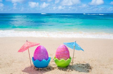 Here are ideas for enjoying the Easter season in Hawaii. Cocktail Umbrella, Salty Soul, Cocktail Umbrellas, Easter Event, Coastal Holiday, Chocolate Bunny, Easter Crafts Diy, Easter Time, Hoppy Easter