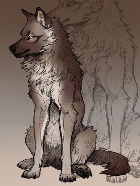 Wolf Sitting, Husky Drawing, Wolf Poses, Cute Wolf Drawings, Canine Drawing, Beautiful Sketches, Wolf Drawing, Canine Art, Very Cute Dogs