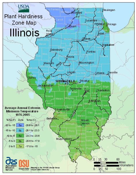 Illinois’ USDA Hardiness Zones are Zones 5, 6 and 7 with its zones progressing in horizontal portions throughout the state. Growing Zones Map, Planting Zones Map, Vegetable Planting Calendar, Planting Zones, Plant Hardiness Zone Map, Vegetable Planting, Planting Calendar, Naperville Illinois, Starting Seeds