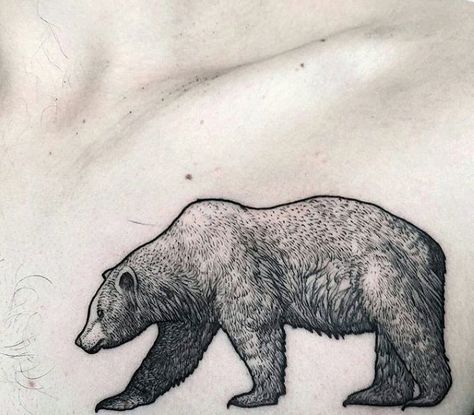 Bear Chest Tattoo, California Bear Tattoo, Bear Sketches, California Bear Tattoos, Black Bear Tattoo, Grizzly Bear Tattoos, Animal Symbols, Bear Tattoo Designs, Matching Tats