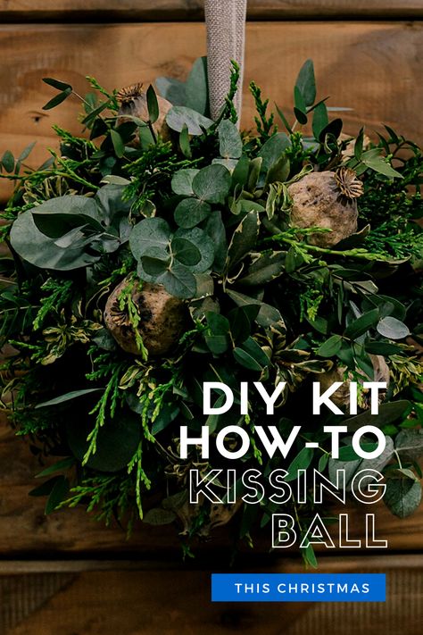 Kissing Ball Decor Ideas, Diy Kissing Ball Christmas, How To Make A Kissing Ball Christmas, How To Make A Kissing Ball, Evergreen Balls, Kissing Balls Christmas Diy, Kissing Balls Diy, Kissing Balls Christmas, Kissing Ball Centerpieces