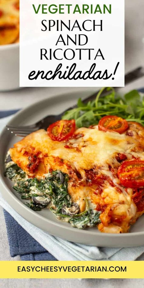 Vegetarian Italian Recipes, Spinach Enchiladas, Vegetarian Curry Recipes, Veggie Enchiladas, Simple Vegetarian Recipes, Vegetarian Mexican Recipes, Veggie Main Dishes, Curry Recipes Vegetarian, Vegetarian Casserole