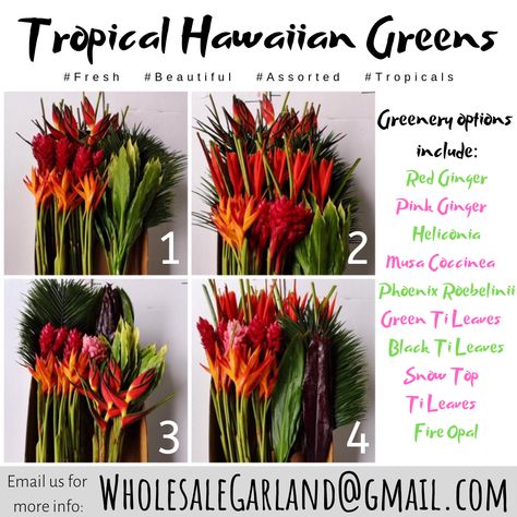 Are you planning a tropical themed DIY wedding or event?! If so, we just might have what you need.  These assorted tropical packs are perfect for designing centerpieces, bouquets or other event event decor.  Fresh from Hawaii, these tropical packs feature a vast assortment of tropical stems including LG Pink & Red Ginger, Heliconia, Musa Coccinea, Phoenix Roebelinii, Green & Black Ti Leaves, Snow Top Ti Leaves & Fire Opal stems.  Email us at WholesaleGarland@gmail.com for more info! Hawaiian Centerpieces, Tropical Centerpieces, Fresh Garlands, Tropical Floral Arrangements, Pink Ginger, Red Ginger, Maui Wedding, Maui Weddings, Diy Centerpieces