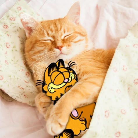 Hello Kitty And Garfield, Cartoon Nickelodeon, Garfield Cartoon, Orange Cat, Nickelodeon, Hello Kitty, On Twitter, Orange, Twitter