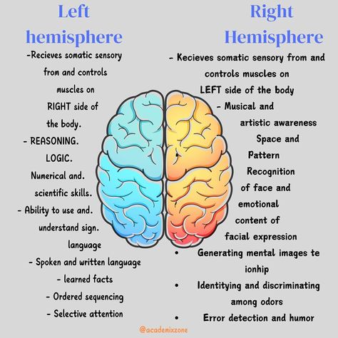 Read Caption ⬇️ . . “The brain is a masterpiece divided into two sides – the logical left hemisphere, handling reasoning, language, and facts, and the creative right hemisphere, thriving on imagination, intuition, and artistry. Balance both for a life of innovation and wisdom. 🧠✨ Which side do you feel more connected to? #LeftBrain #RightBrain” . . . Follow ✅ for more @academixzone . . . . #BrainPower #Neuroscience #CreativityVsLogic #MindsetMatters #GrowthMindset #SelfAwareness #instagram ... Left And Right Hemisphere Of Brain, Triune Brain, Neuro Science, Brain Hemispheres, Psych Student, Brain Anatomy And Function, Psychology Notes, Read Caption, Brain Facts