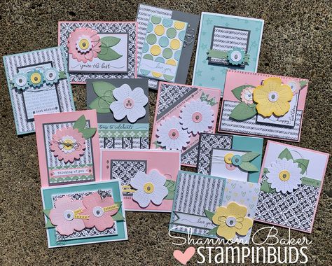 1 Sheet Wonder Cards, Daisy Meadows, Card Stamping, One Sheet Wonder, Hand Made Greeting Cards, Card Layouts, Ctmh Cards, Spellbinders Cards, Card Crafts