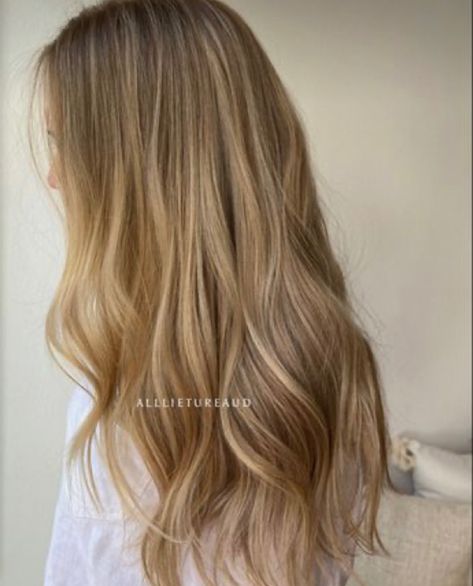 Baby Lights On Blonde Hair, Natural Highlights For Blonde Hair, Golden Blonde Brown Hair, Baby Highlights On Dirty Blonde Hair, Highlights For Dirty Blonde Hair Natural, Natural Blonde Hair Balayage, Natural Blonde Babylights, Natural Warm Blonde Hair, Natural Blonde Highlights On Light Brown Hair