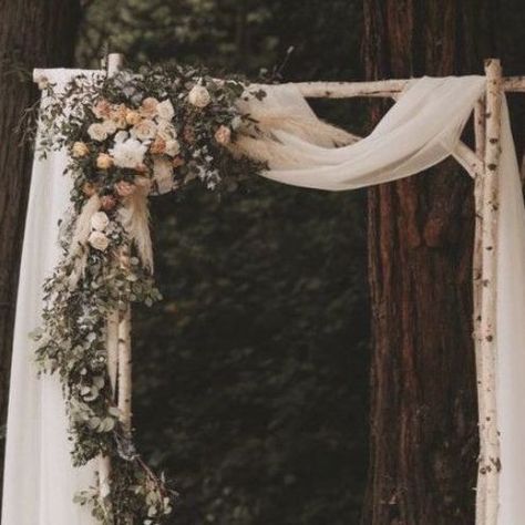 Wood Backdrop Wedding, Birch Wedding Arch, Piedmont Community Hall, Wood Wedding Arches, Redwoods National Park, Birch Tree Wedding, Community Hall, Marin Headlands, Birch Wedding