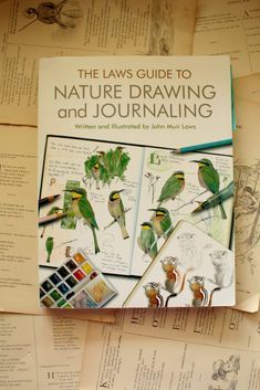 Homeschool Nature Study, Classe D'art, Nature School, Nature Sketch, Learn Drawing, Nature Drawing, Drawing Supplies, John Muir, Nature Study