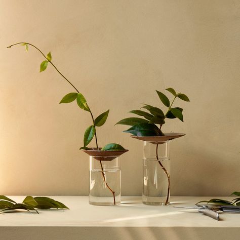 An easy and elegant way to propagate plant cuttings or sprout larger seeds, Cresco’s simple form lets nature take centre stage. The glass vessel allows light to reach the growing roots while the concave ceramic discs supports the plant as it grows. Use for cuttings, bulbs, or other seeds like avocado pits or acorns. Features Suitable for indoor use Available in Brown/Clear Glass color Menu Cresco Propagation Vase in Brown/Clear | Set of 2 Propagation Vase, Avocado Pits, Outdoor Table Lamps, House Plants Decor, Holding Flowers, Plant Cuttings, Centre Stage, Propagating Plants, Modern Vase