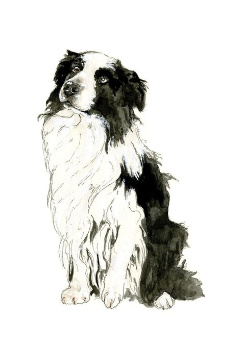 Border Collie Drawing, Collie Drawing, Pet Tattoo Ideas, Drawing With Watercolor, I Feel Happy, Portraits Painting, Border Collie Art, Dog Portraits Painting, Border Collie Puppies