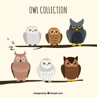 Branch Drawing, Geometric Owl, Eurasian Eagle Owl, Owl Clip Art, Owl Stickers, Owl Collection, Owl Illustration, Owls Drawing, Owl Pictures