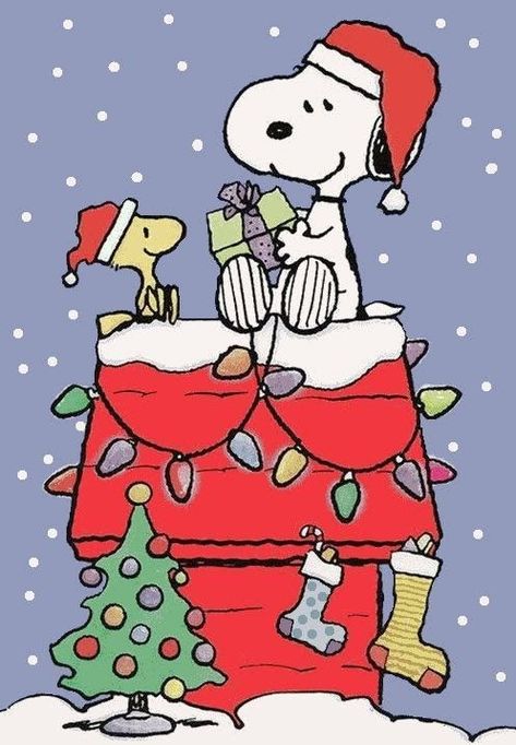 Christmas All Year, A Charlie Brown Christmas, Christmas Wallpaper Iphone Cute, Christmas Window Painting, Snoopy Cartoon, Snoopy Funny, Snoopy Images, Snoopy Wallpaper, Snoopy Quotes