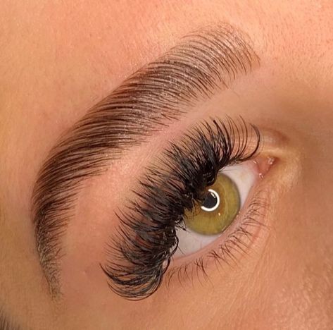 Eyelash And Eyebrow Growth Serum, Eyebrows Goals, Eyebrow Lamination, Blonde Eyebrows, Eyebrow Lift, Brown Eyebrows, Eyebrow Serum, Thick Brows, Eyebrow Growth