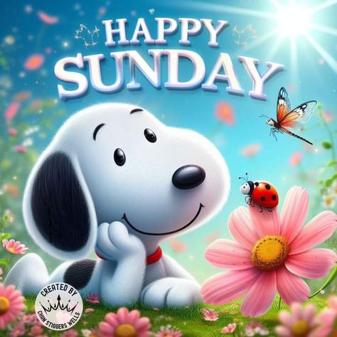 Happy Sunday Snoopy Mornings, Happy Sunday Cartoon, Good Morning Sunday Funny, Happy Sunday Snoopy, Snoopy Happy Sunday, Snoopy Sunday, Snoopy Movie, Weekly Greetings, Birthday Snoopy