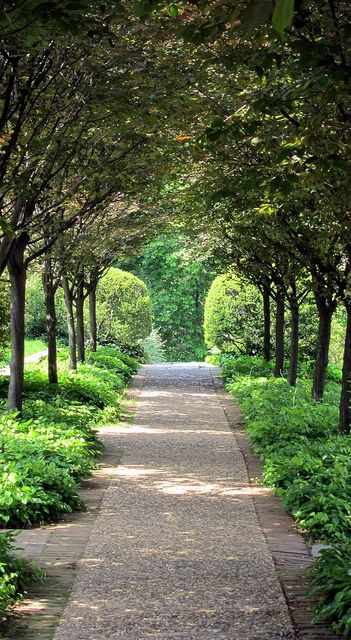 . Cobblestone Border, Tree Lined Path, Dumbarton Oaks, Gravel Pathway, Pear Trees, Metal Tree Wall Art, Have Inspiration, Cat Air, Garden Pathway