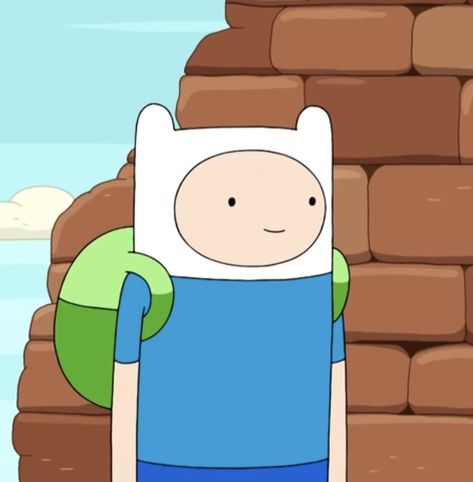 Fin The Human, Finn Mertens, Pro Pic, Cool Cube, Meme Pics, Icon Profile, Adventure Time Characters, Human Icon, Adventure Time Cartoon