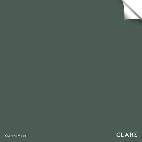 Clare Paint Current Mood, Current Mood Paint Color, Current Mood Clare Paint, Moody Green Paint, Green Interior Paint, Spare Bedrooms, Moody Green, House Renos, Office Paint Colors