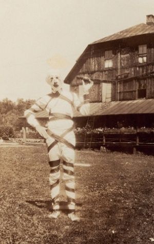 vintage halloween costumes Terrifying Halloween Costumes, Vintage Bizarre, Vintage Halloween Costumes, Most Popular Halloween Costumes, Images Terrifiantes, Terrifying Halloween, Creepy Halloween Costumes, Popular Halloween Costumes, Vintage Halloween Photos