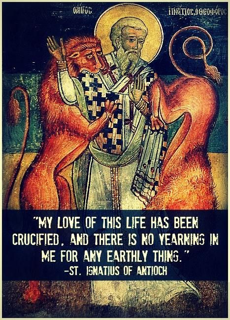 St. Ignatius of Antioch, pray for us!!! http://www.catholicculture.org/culture/liturgicalyear/calendar/day.cfm?date=2014-10-17 St Ignatius Of Antioch, St Ignatius Of Antioch Feast Day, St Athanasius Quotes, St John Chrysostom Quotes, St Ignatius Of Antioch Quotes, Angels Bible, Ignatius Of Antioch, St. Thomas More Quotes, Early Church Fathers