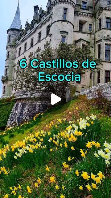 Mochila Expres on Instagram: "6 Castillos de Escocia 🏴󠁧󠁢󠁳󠁣󠁴󠁿 que no te puedes perder❤️
➡️Castillo de Edimburgo
➡️Castillo de Eilean Donan. Escenario de la película "Los Inmortales".
➡️ Dunrobin. Espectacular y con preciosos jardines.
➡️Glamis. El supuesto castillo de Mcbeth.
➡️ Urquhart. El castillo del Lago Ness
➡️Stirling. Antiguo palacio real y prisión.

#castillo #escocia #scotland #uk #castle #roadtrip #viajar #viaje ##blogger #vacaciones #europa #europe #visitscotland ##braveheart" Eilean Donan, Scotland Uk, Stirling, Travel, On Instagram, Instagram