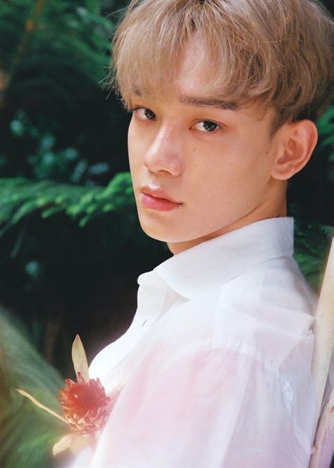 |EXO| JongDae •JongDae The War KokoBop♡ Spirit Fanfic, Exo Kokobop, Exo Jongdae, Exo Official, Exo Album, Ko Ko Bop, Exo Korean, Baekhyun Chanyeol, Exo Chen