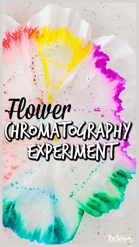 Experiment For Preschoolers, Flower Experiment, Plants Science Experiments, Spring Science Experiments, Flower Activities For Kids, Spring Science Activities, Flower Science, Spring Preschool Activities, Spring Science