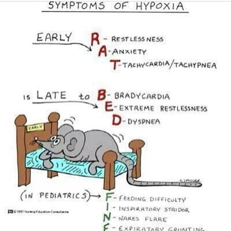 Signs of Hypoxia Nursing Information, Med Surg Nursing, Nursing Mnemonics, Nursing School Survival, Fundamentals Of Nursing, Nursing School Studying, Nursing School Tips, Medical School Studying, Nursing School Notes