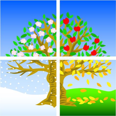 Four Seasons. Illustration of a tree divided into the four seasons , #Affiliate, #Illustration, #Seasons, #tree, #seasons, #divided #ad Four Seasons Art, Seasons Activities, Weather Seasons, Weather Patterns, Seasons Art, Four Season, Seasons Of The Year, Canvas Ideas, Apple Tree