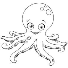 Octopus Picture to Color Free Octopus Coloring, Spongebob Jellyfish, Octopus Pictures, Octopus Colors, Octopus Coloring Page, Octopus Drawing, Owl Coloring Pages, Cute Octopus, Coloring Pages To Print