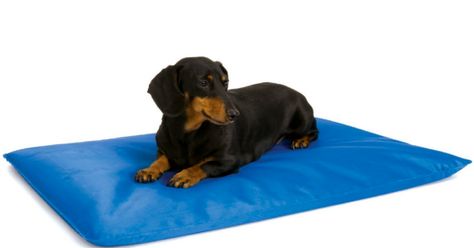 Add this dog bed onto your next order from Amazon to get the best price yet. Cool Bed, Dog Cooling Mat, Dog Pads, Covered Dog Bed, Dog Beds For Small Dogs, Cheap Dogs, Cool Dog Beds, Dog Boarding, Dog Mat