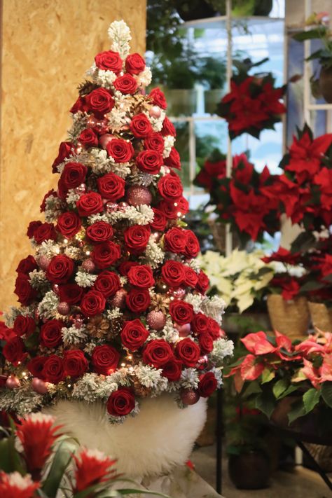 She gives us something exceptionally special this season, a Christmas tree decorated with Porta Nova Red Naomi roses. The Christmas tree is the most favourite centrepiece decoration in many Finnish homes, a perfect combination with delicious and traditional Christmas food to create a warm and cozy Christmas ambience. Red Flower Christmas Tree, Christmas Tree With Roses, Christmas Tree With Flowers, Roses Christmas Tree, Christmas Tree Floral, Rose Christmas Tree, Christmas Ambience, Diy Christmas Light Decorations, Crismas Tree