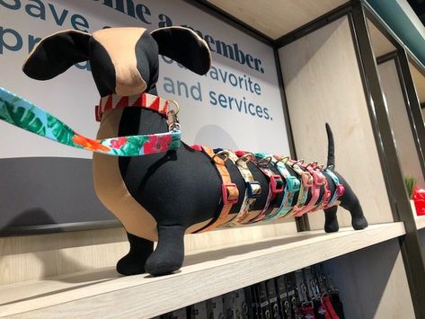 Dachshund Collar, Dog Collar Display, Collar Display, Pet Store Display, Dog Grooming Salon Decor, Dog Boutique Ideas, Dog Boarding Ideas, Pet Store Design, Pet Store Ideas