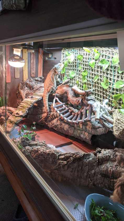 Large Bearded Dragon Terrarium, Bearded Dragon Husbandry, Best Bearded Dragon Enclosure, Bearded Dragon Ideas Tanks, Outdoor Bearded Dragon Enclosure Diy, Lizard Tank Ideas Diy Bearded Dragon, Diy Reptile Hide Bearded Dragon, Reptile Enclosure Stand, Bearded Dragon Plants