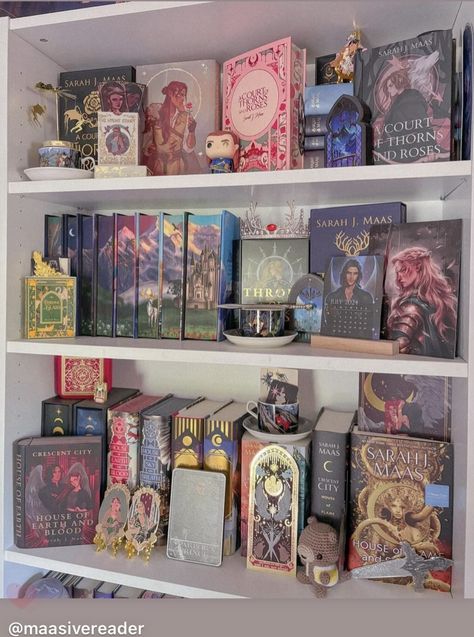 Decorating Ideas For Bookshelves, Books Arrangement Ideas, Acotar Bookshelf Decor, Acotar Book Nook, Fantasy Bookshelf, Dream Home Library, Bookshelf Room, Bookshelf Aesthetic, Lots Of Books