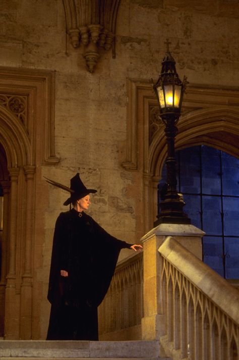 Harry Potter and the Philosopher's Stone-Minerva Mc Gonagall A Man, Harry Potter, Black