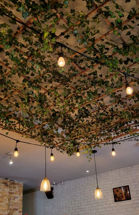 Tropical Themed Restaurant, Cafe Ceiling Lights, Ceiling Plant Decor, Ceiling Covered In Plants, Small Cafe Lighting Ideas, Leaf Ceiling Design, Greenery Ceiling Restaurant, Greenery Wall With Lights, Restaurant Lighting Ideas Ceilings