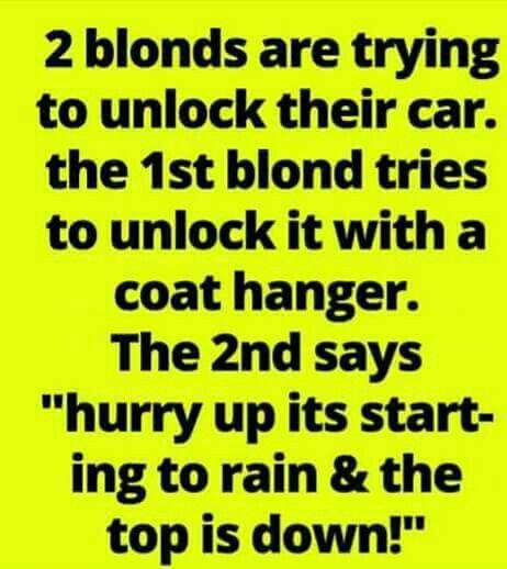 Funniest Jokes Ever, Blonde Humor, Funny Blonde Jokes, Bad Dad Jokes, Blonde Jokes, Good Jokes To Tell, Blonde Moments, Funny Jokes To Tell, Corny Jokes