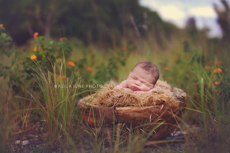 Keila June Photography | http://keilajunephotography.blogspot.com/ Newborn Posing Guide, Tin Bucket, Children Portraits, Outdoor Baby, Baby Poses, Newborn Posing, Posing Guide, Baby Portraits, Newborn Photography Props